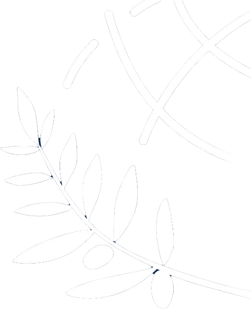 ΔΙΠΑΕ icon