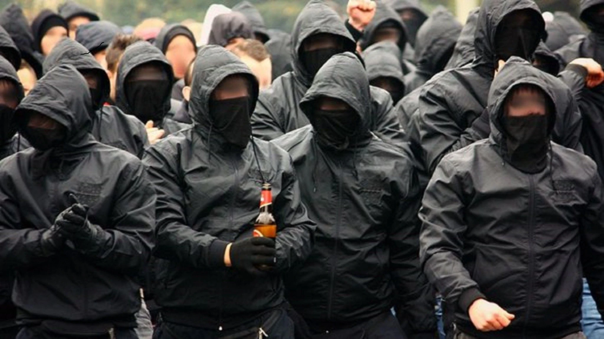 hooligans.jpg?v=0 hooligans.jpg?v=0