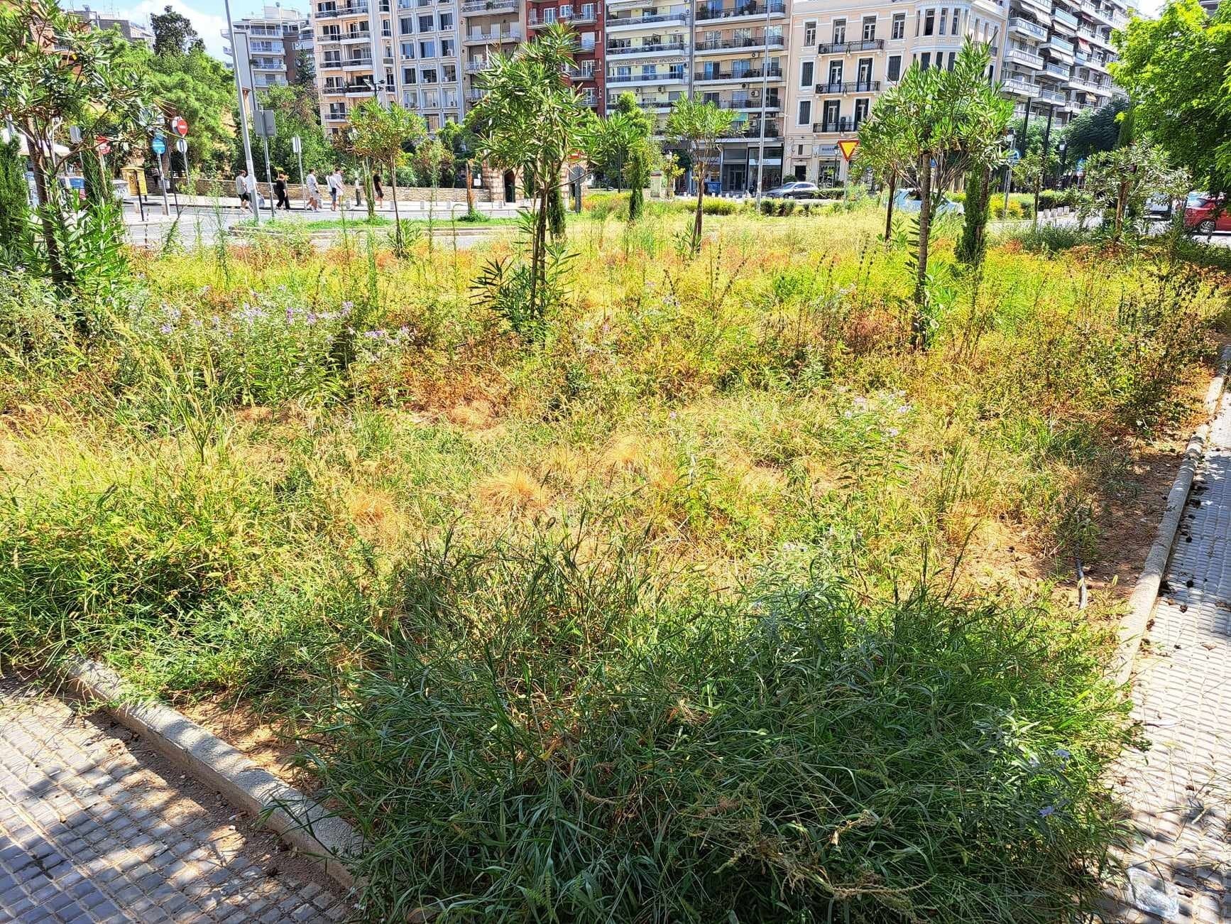 thessaloniki-parkaki.jpg thessaloniki-parkaki.jpg