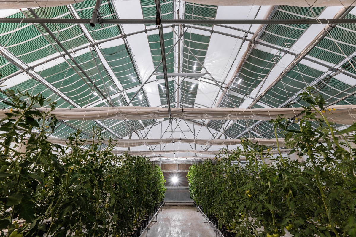 greenhouse.jpg greenhouse.jpg
