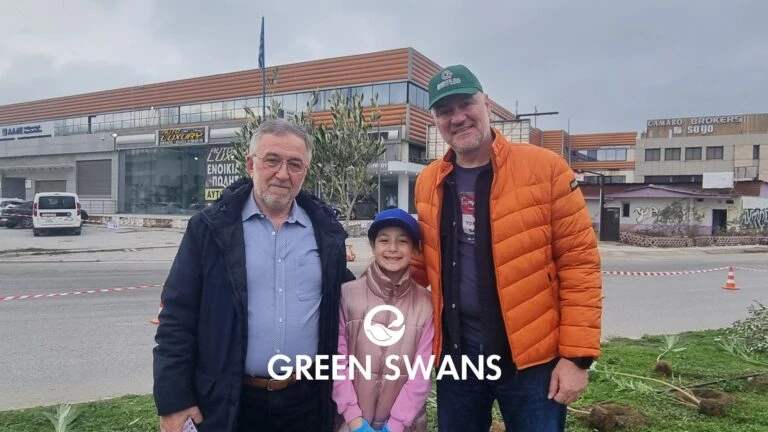 greenswans-14.jpg?v=0 greenswans-14.jpg?v=0
