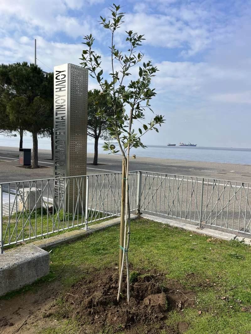 dentra-nea-paralia1.jpg dentra-nea-paralia1.jpg