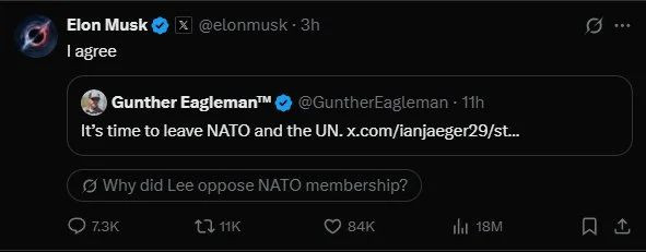 musk-anartisi.jpg musk-anartisi.jpg