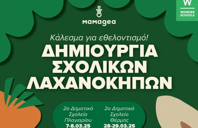 mamagea-768x499.jpg mamagea-768x499.jpg