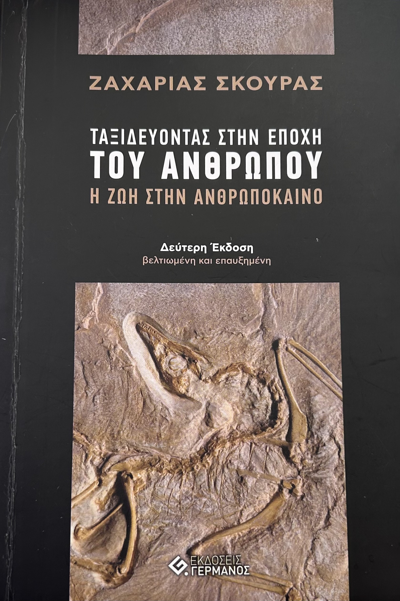 skouras-2.jpg?v=0 skouras-2.jpg?v=0