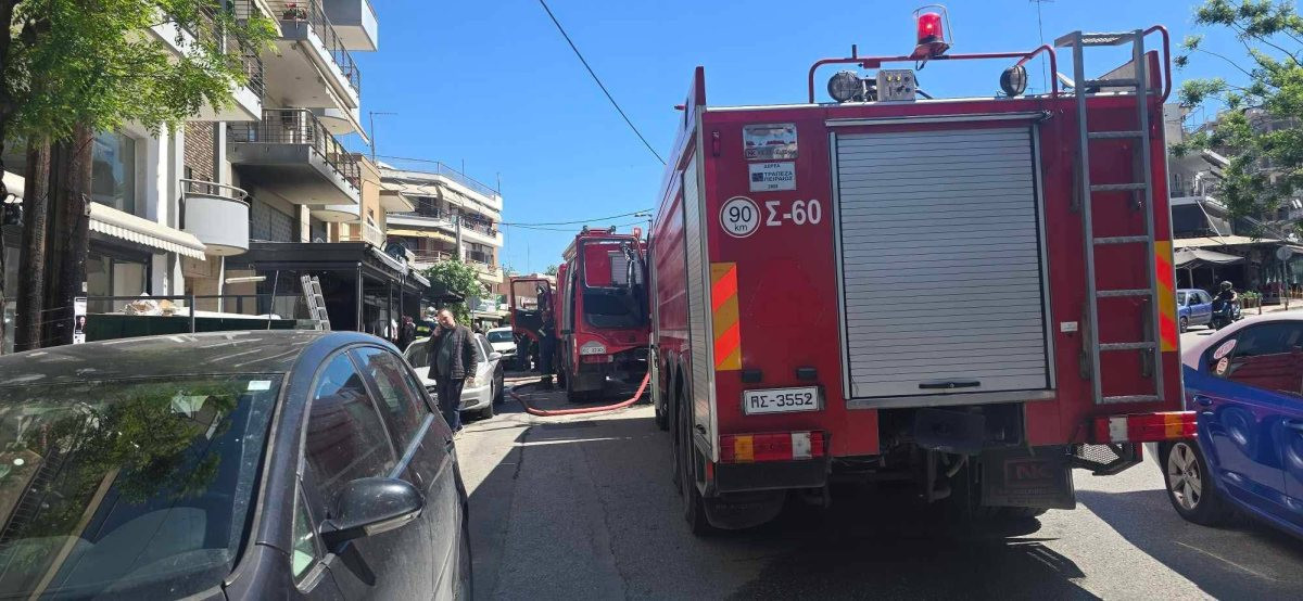 pyrsvestiki-psitopoleio-polixni1.jpg?v=0 pyrsvestiki-psitopoleio-polixni1.jpg?v=0