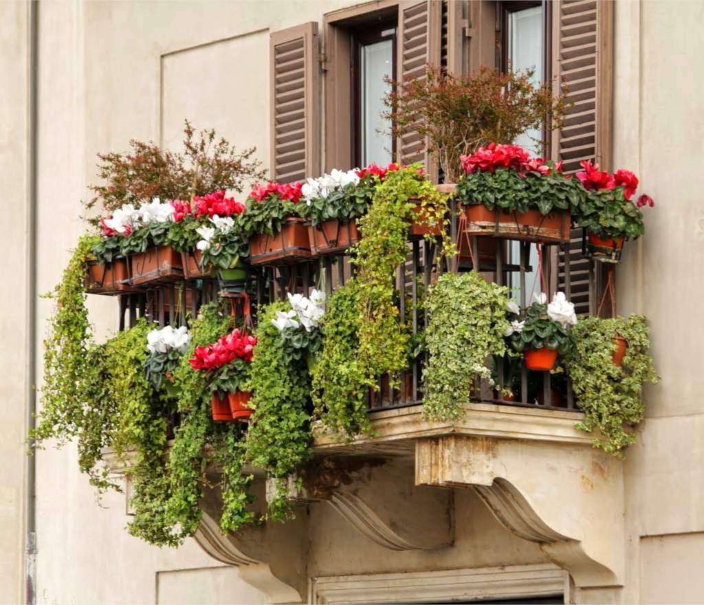 green-balcony-winter-1024x880.jpg?v=0 green-balcony-winter-1024x880.jpg?v=0