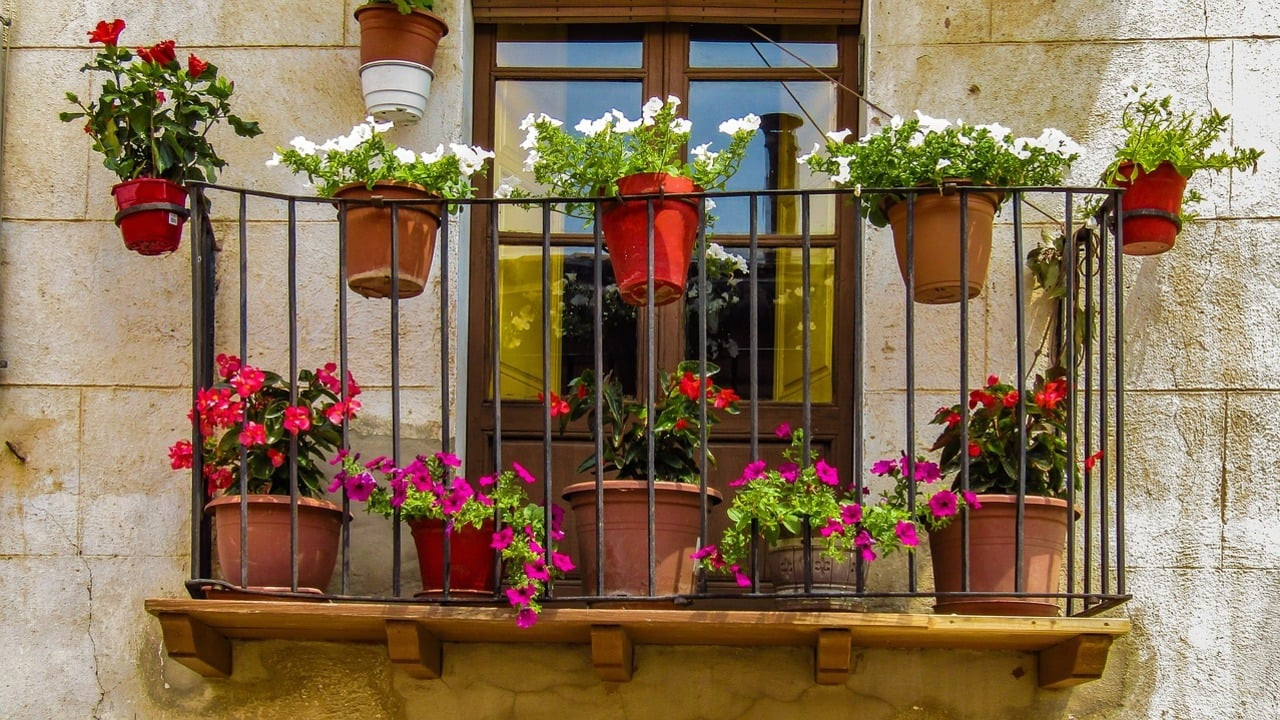 plants-for-balcony.jpg?v=0 plants-for-balcony.jpg?v=0