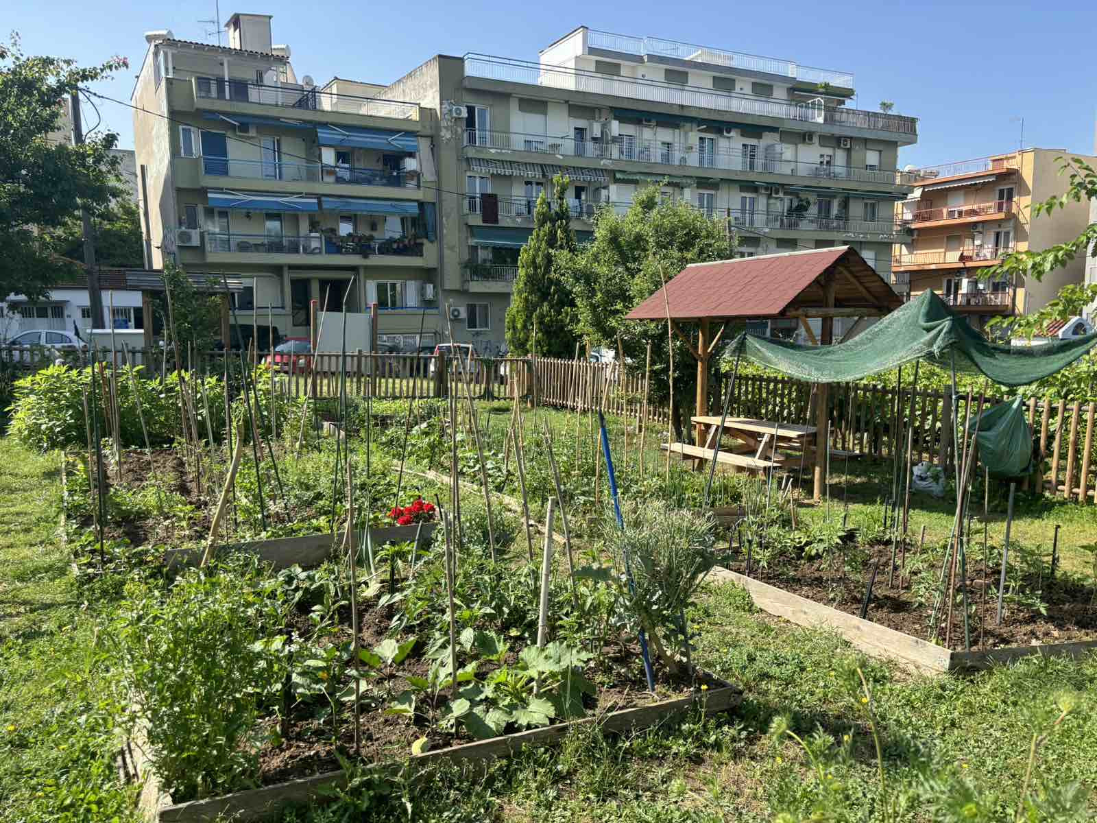 astikos-ampelonas9.jpg?v=0 astikos-ampelonas9.jpg?v=0