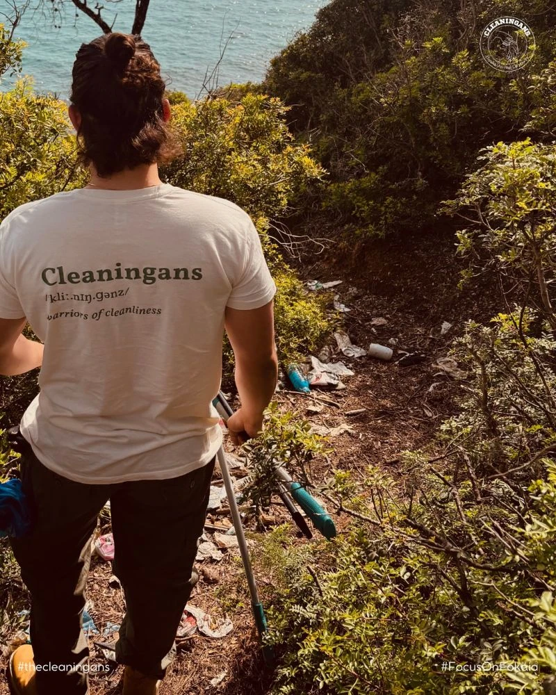 cleaningans1.jpg cleaningans1.jpg