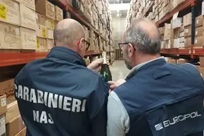 picture-12-copyright-europol-and-caribinieri-nas.webp?v=0 picture-12-copyright-europol-and-caribinieri-nas.webp?v=0