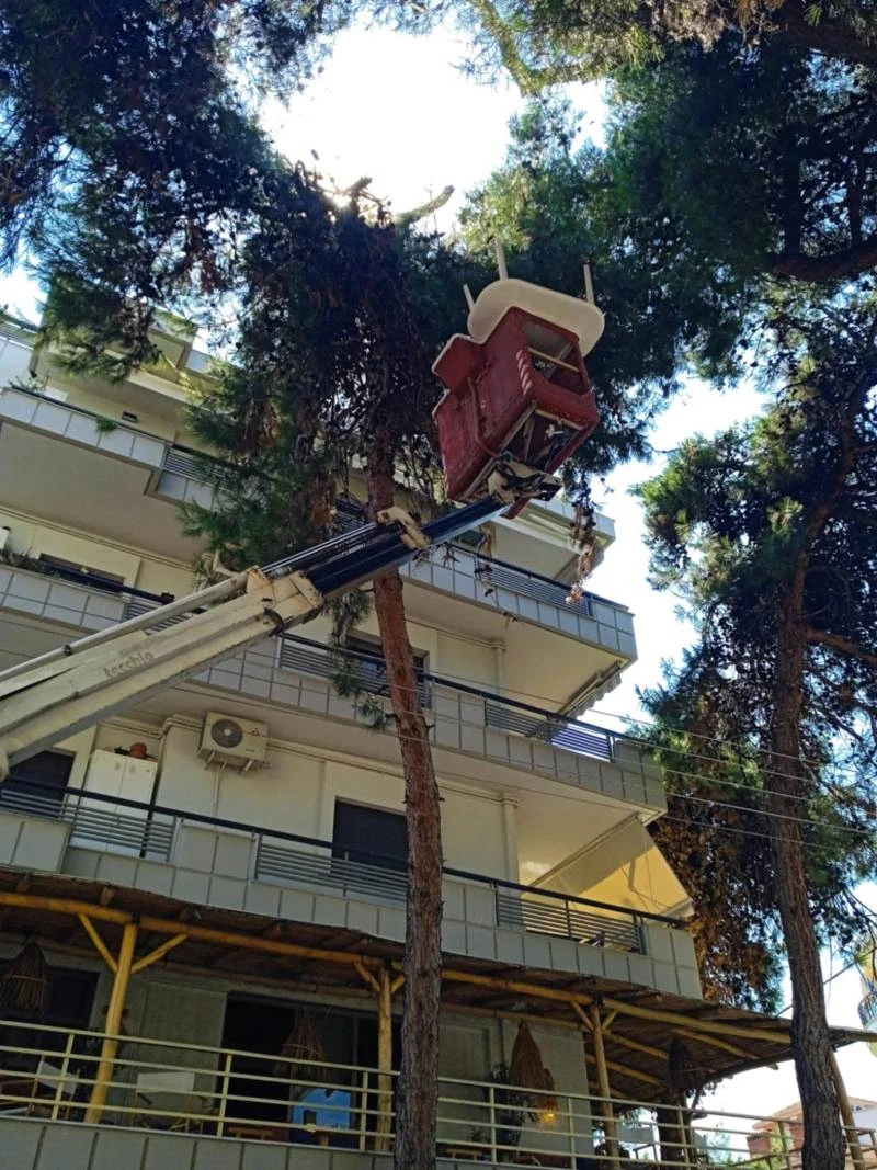 kalamaria-trapezi-se-dentro2.jpg kalamaria-trapezi-se-dentro2.jpg