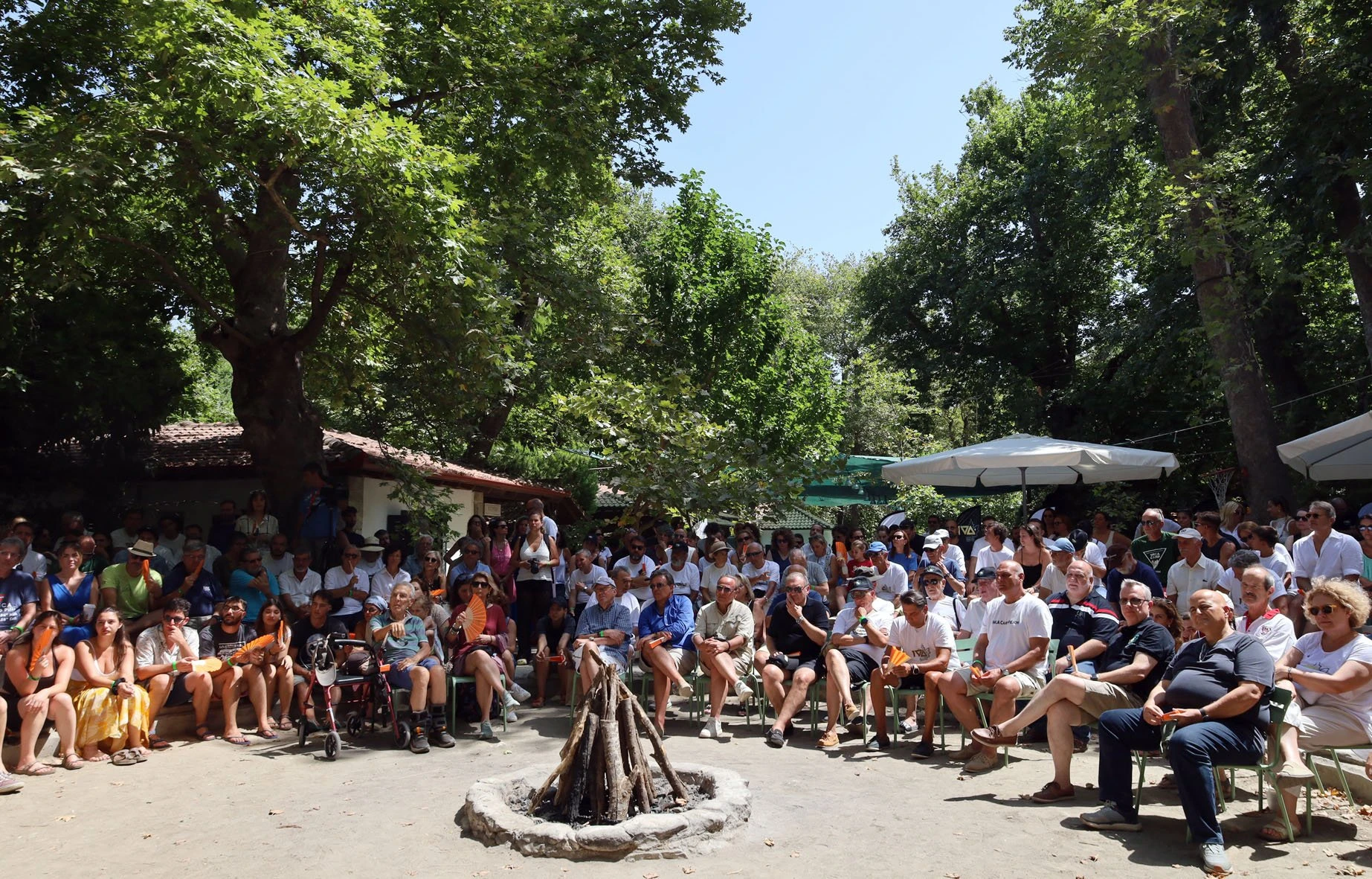 xan-pelion-9.jpg?v=0 xan-pelion-9.jpg?v=0