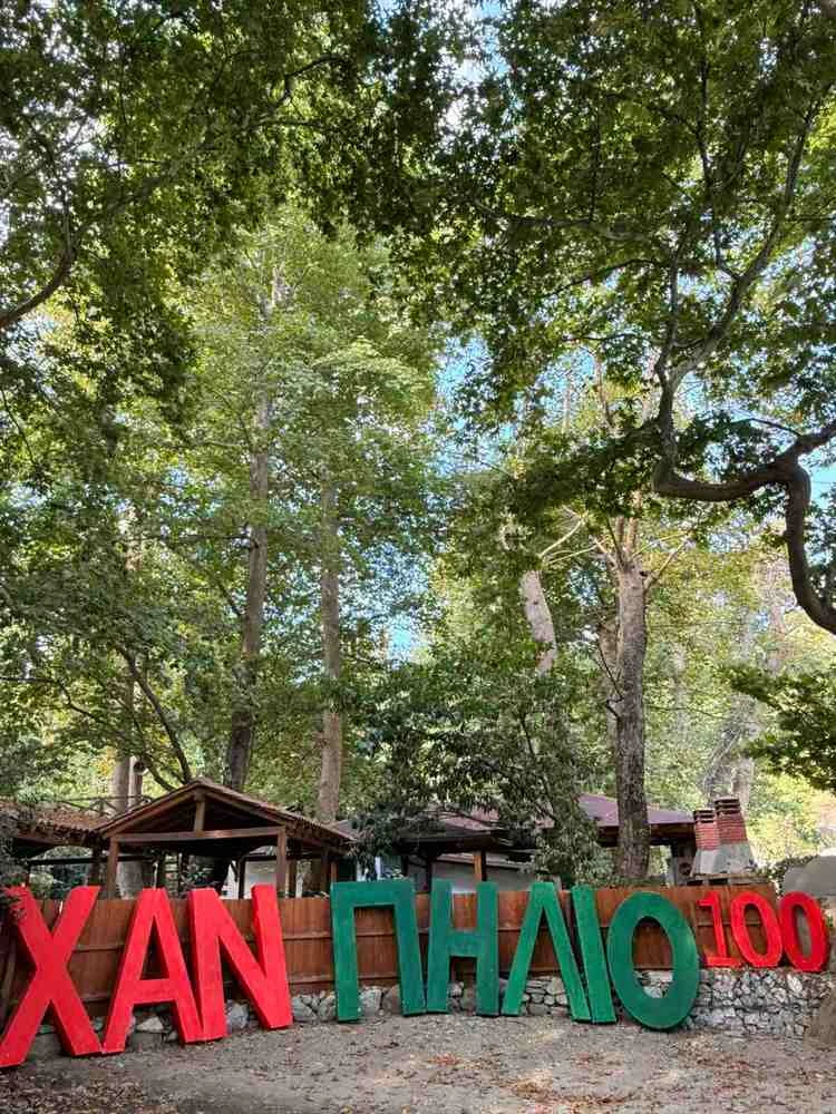 xan-pilio1.jpg?v=0 xan-pilio1.jpg?v=0