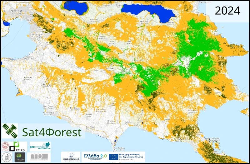 sat4forest-chalkidiki-foresttypes-2024.jpg sat4forest-chalkidiki-foresttypes-2024.jpg