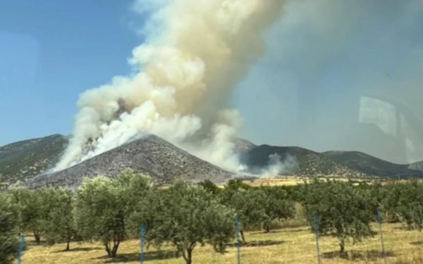 Δράμα: Μαίνεται η πυρκαγιά στη Χωριστή - Και νέα ενίσχυση των πυροσβεστικών δυνάμεων