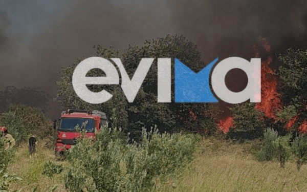 Αλιβέρι: Βελτιωμένη η εικόνα απο το πύρινο μέτωπο- Συνελήφθη ο χειριστής αλωνιστικής μηχανής που προκάλεσε τη φωτιά