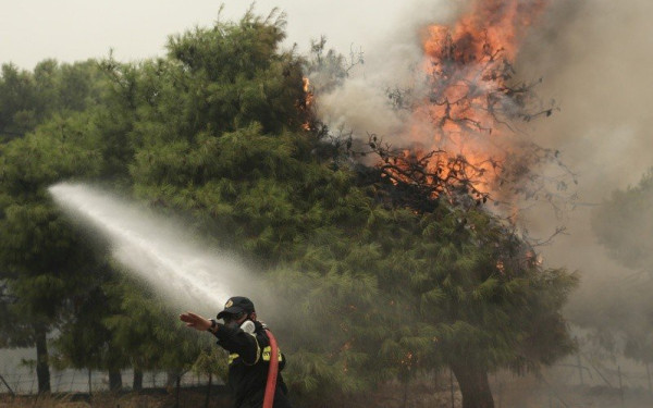 Μέτρα πρόληψης και προστασίας κατοικιών σε δασικές περιοχές από την Ελληνική Ομάδα Διάσωσης (βίντεο)
