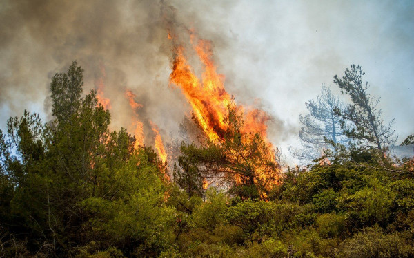 Υψηλός κίνδυνος πυρκαγιάς σε 22 περιοχές - «Κίτρινος συναγερμός» για Θεσσαλονίκη, Χαλκιδική, Κιλκίς αλλά και Θράκη