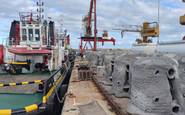 Κρήτη: Έτοιμες να καταποντιστούν στον βυθό οι 40 φωλιές ψαριών - Εντυπωσιακές εικόνες από το καταδυτικό πάρκο