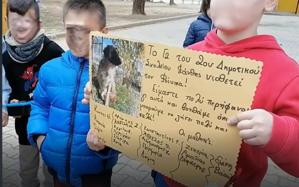 Ξάνθη: Ο Φοίνικας βρήκε μια νέα «οικογένεια» στο 2ο Δημοτικό Σχολείο Ξάνθης