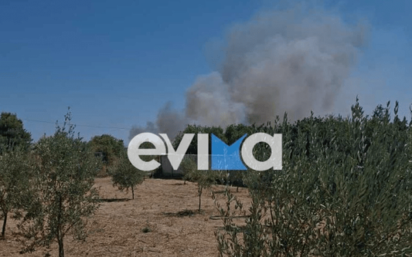 Φωτιά στο Αλιβέρι: Κοντά στα σπίτια οι φλόγες –  Ήχησε το 112 για την εκκένωση δύο οικισμών