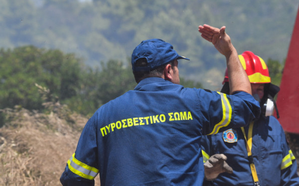 Λάρισα: Δασική πυρκαγιά σε περιοχή του Τυρνάβου