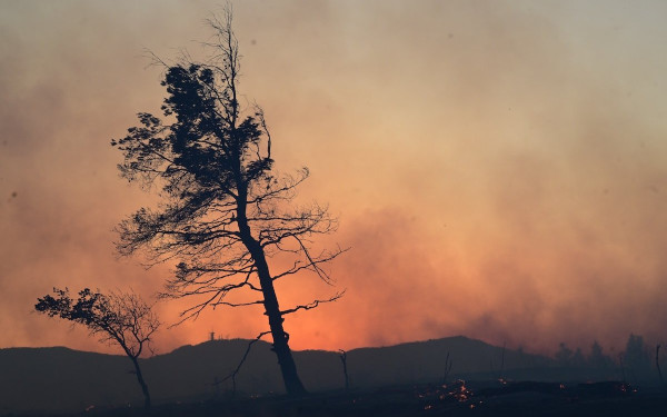 Πολύ υψηλός κίνδυνος πυρκαγιάς στην Χαλκιδική αύριο, 15 Αυγούστου