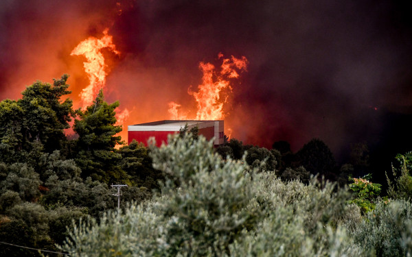 Συναγερμός στη μισή χώρα για τις πυρκαγιές: Χιλιάδες δίνουν τη μάχη στα πύρινα μέτωπα - Έρχονται χειρότερα τις επόμενες μέρες
