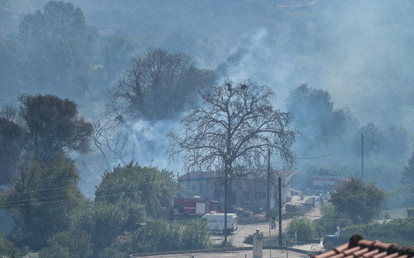 Αναζωπύρωση στην Πρέβεζα