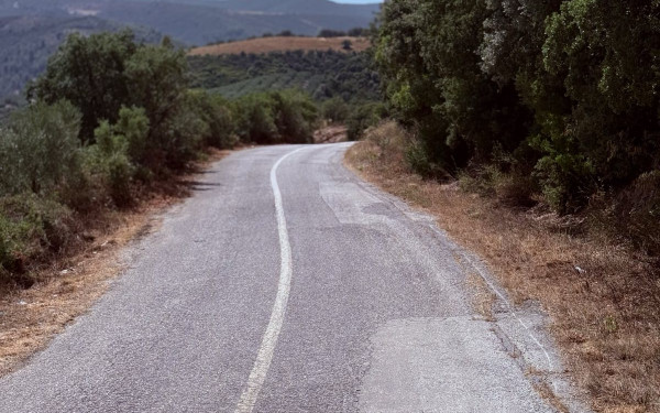 Δήμος Πολυγύρου: Καθαρισμός δρόμου Ορμύλιας-Βραστάμων - Δείτε φωτογραφίες