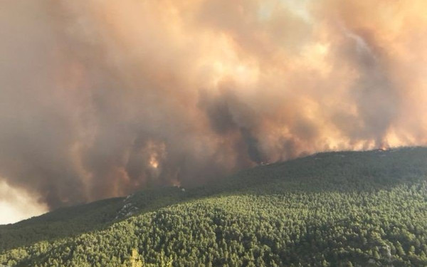 Φωτιά σε δασική έκταση στον Αμμότοπο Άρτας - Μήνυμα από το 112 για εκκένωση