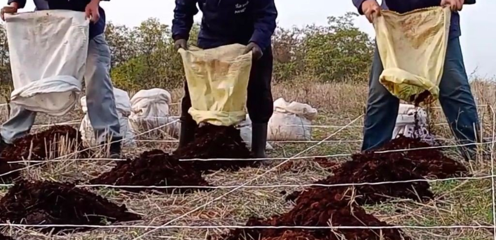 «Χρυσάφι» η αγροτική γη σε Κατερίνη, Γιαννιτσά, Ημαθία, Σέρρες