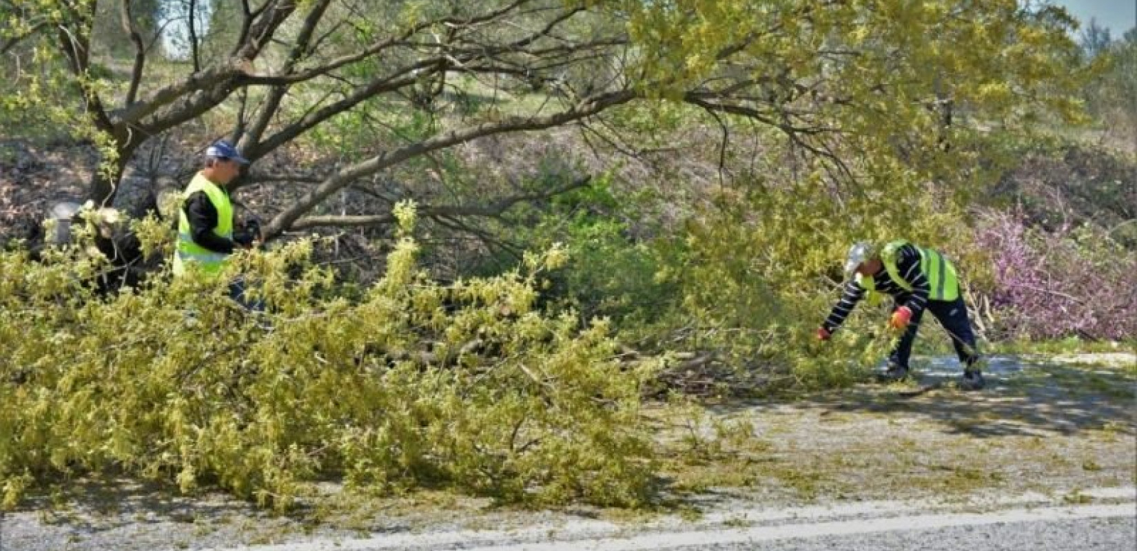 Εργασίες κοπής πρασίνου και κλαδέματος θάμνων στην E.O. Θεσσαλονίκης – Μουδανιών και τον περιφερειακό