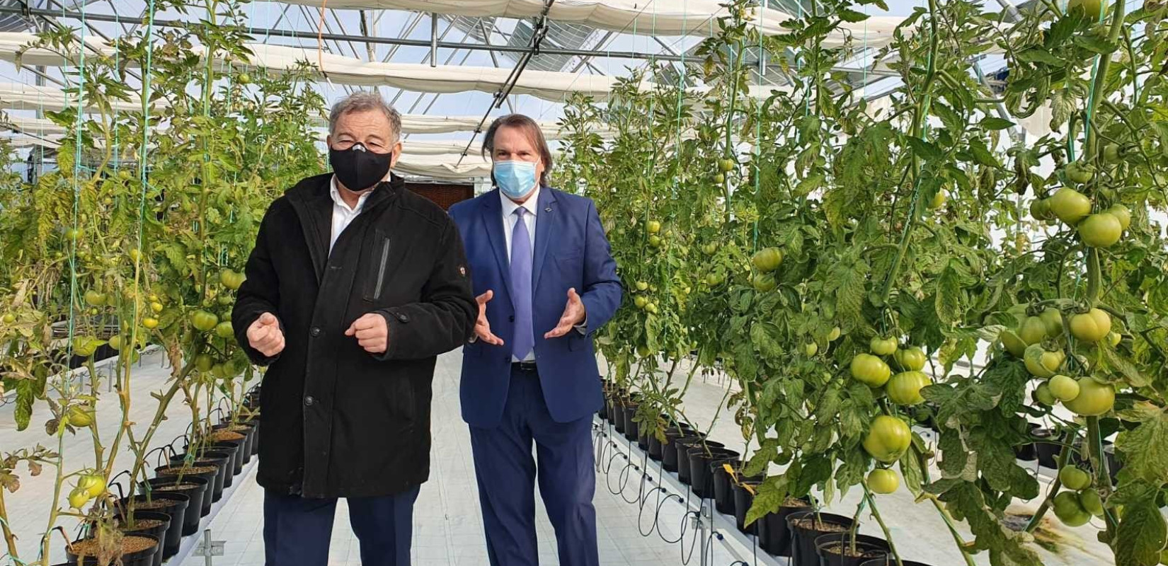 Ενεργειακό αυτόνομο θερμοκήπιο στη Θέρμη, υποστηρίζεται 100% από ΑΠΕ