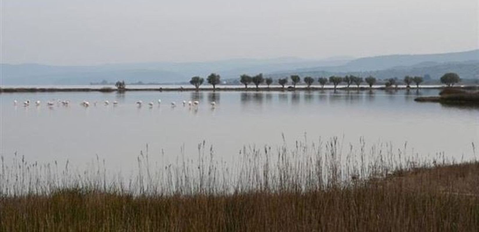 Η κλιματική αλλαγή απειλεί το 1/3 των υγροτόπων της Μεσογείου - Η στάθμη της θάλασσας ανεβαίνει επικίνδυνα