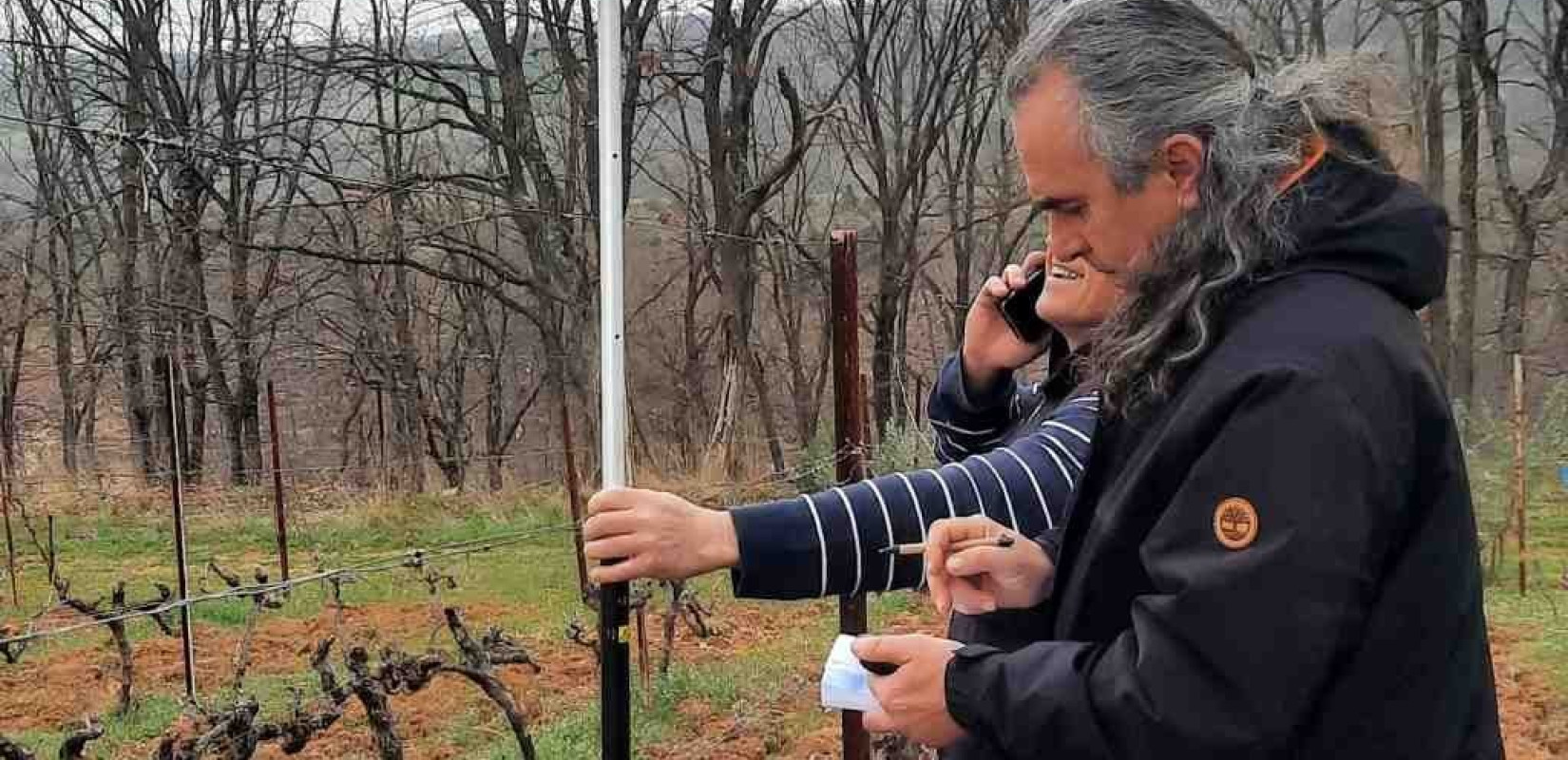 Ψηφιακές εφαρμογές "χαρτογραφούν" τα μοναδικά χαρακτηριστικά της αμπελουργικής ζώνης στη Γουμένισσα Κιλκίς 