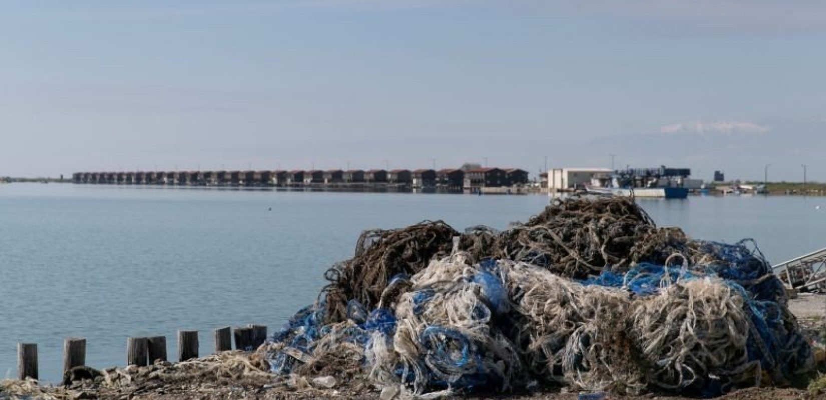 Θεσσαλονίκη: Ολική η καταστροφή των μυδοκαλλιεργειών λόγω κλιματικής κρίσης