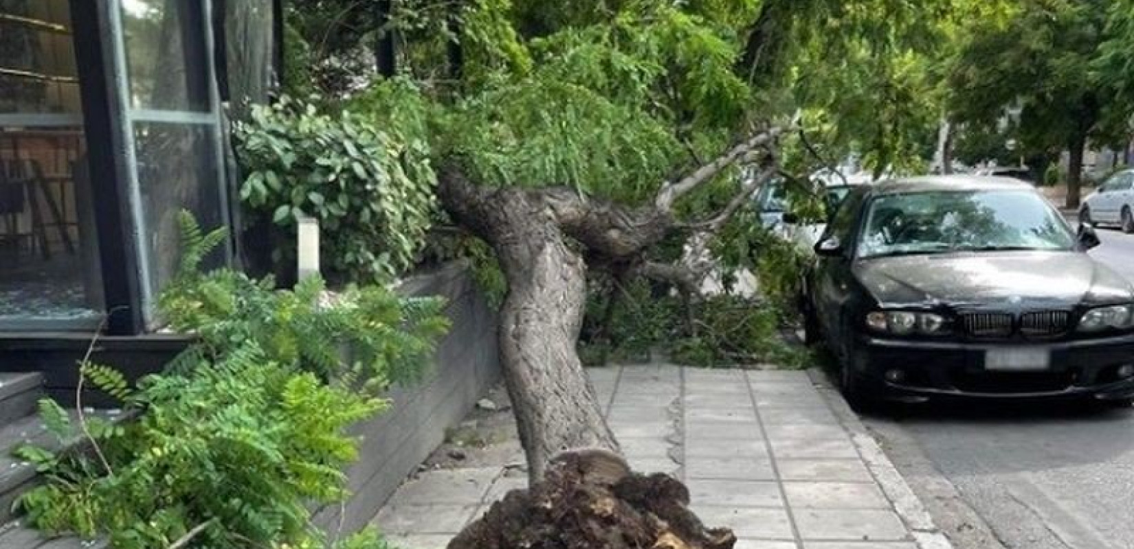 Άνοιξαν οι ουρανοί στην κεντρική Μακεδονία - Πτώσεις δέντρων στη Θεσσαλονίκη - Αδύνατη η προσέγγιση των τρένων (βίντεο)