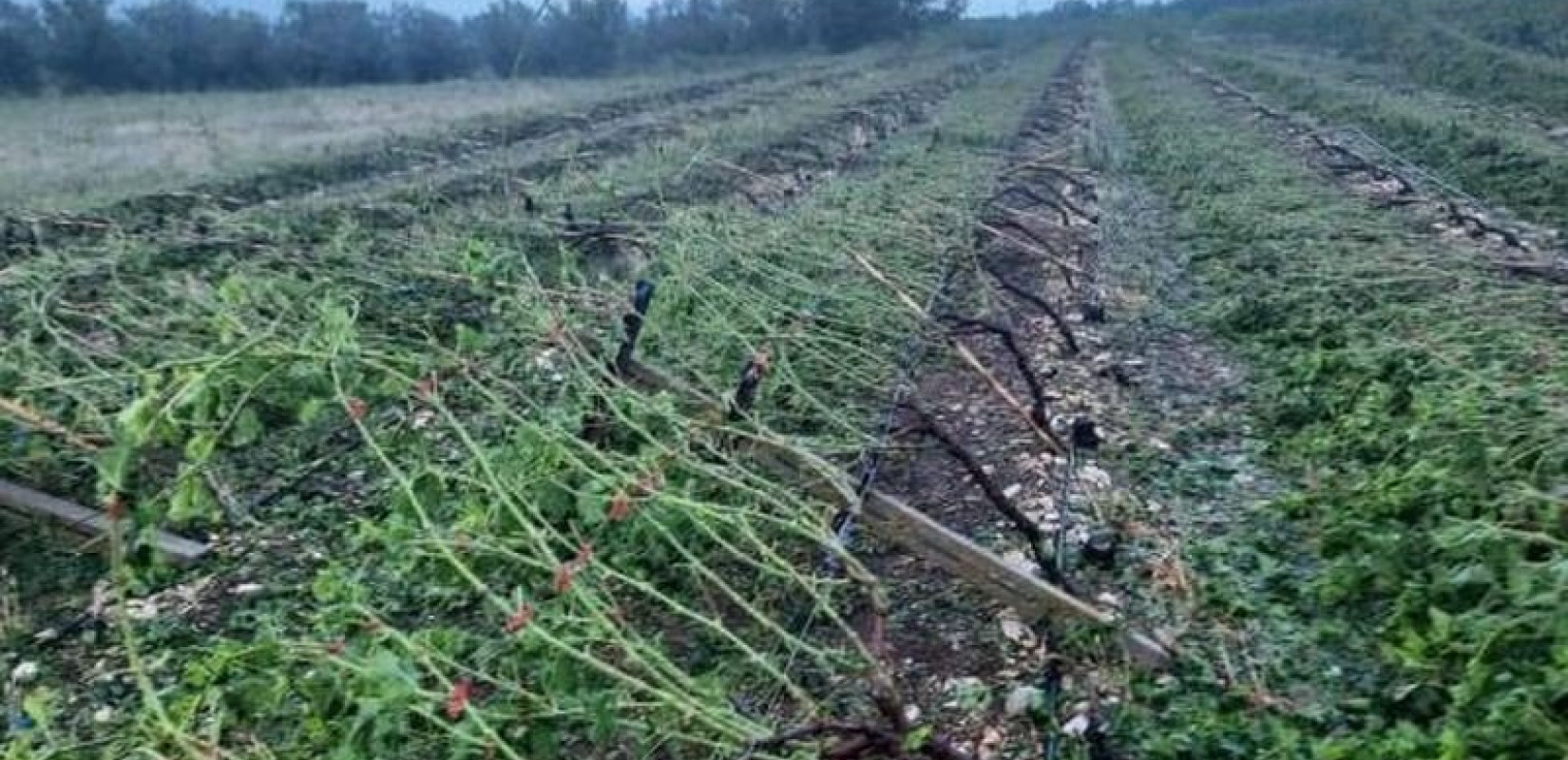 Αρχές Ιανουαρίου σε λειτουργία το νέο «Ταμείο Μικρών Δανείων Αγροτικής Επιχειρηματικότητας»