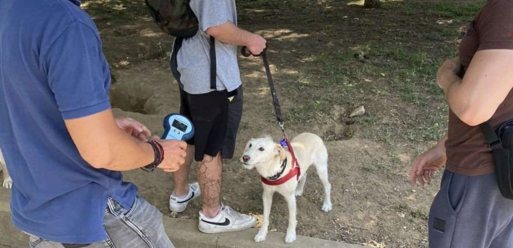 Έλεγχοι από την αστυνομία σε αδέσποτα και δεσποζόμενα ζώα στη Θεσσαλονίκη - Βεβαιώθηκαν 13 πρόστιμα