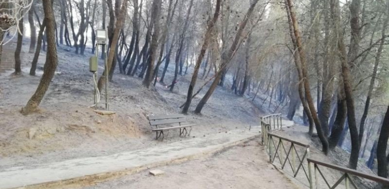 ΥΠΠΟΑ για την πυρκαγιά στο μυκηναϊκό νεκροταφείο στις Πόρτες Αχαΐας: «Ο αρχαιολογικός χώρος ήταν υποδειγματικά καθαρισμένος»