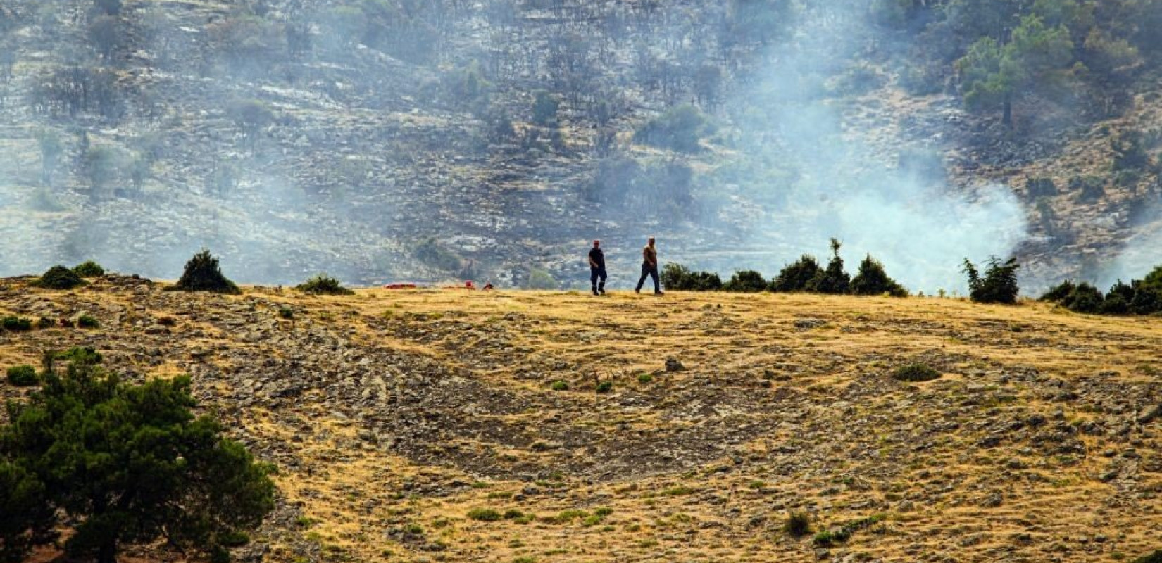 Φωτιά στη Δαδιά: Τι δείχνουν δορυφορικοί χάρτες για την περιβαλλοντική ζημιά