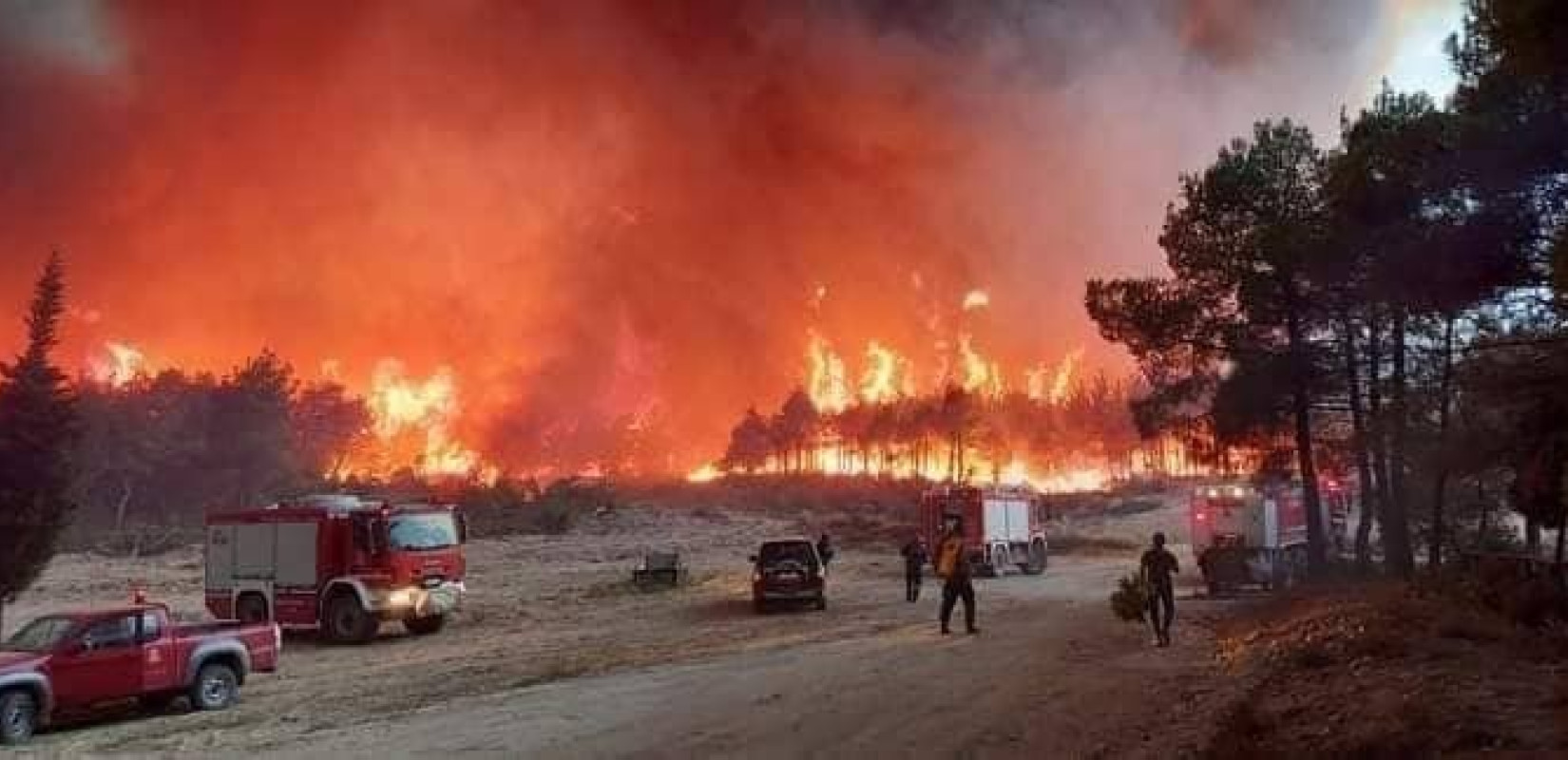 Το ΔΠΘ αναλαμβάνει πρωτοβουλίες για να απαλύνει τις επιπτώσεις από τις φονικές πυρκαγιές στον Έβρο