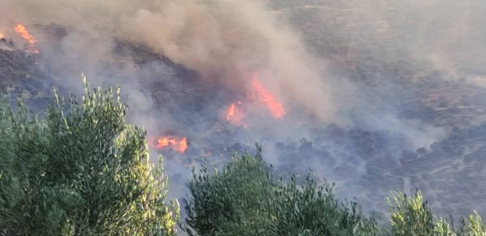 Πύρινη κόλαση σε Κρήτη και Αχαϊα - Εκκενώνονται και πάλι οικισμοί 