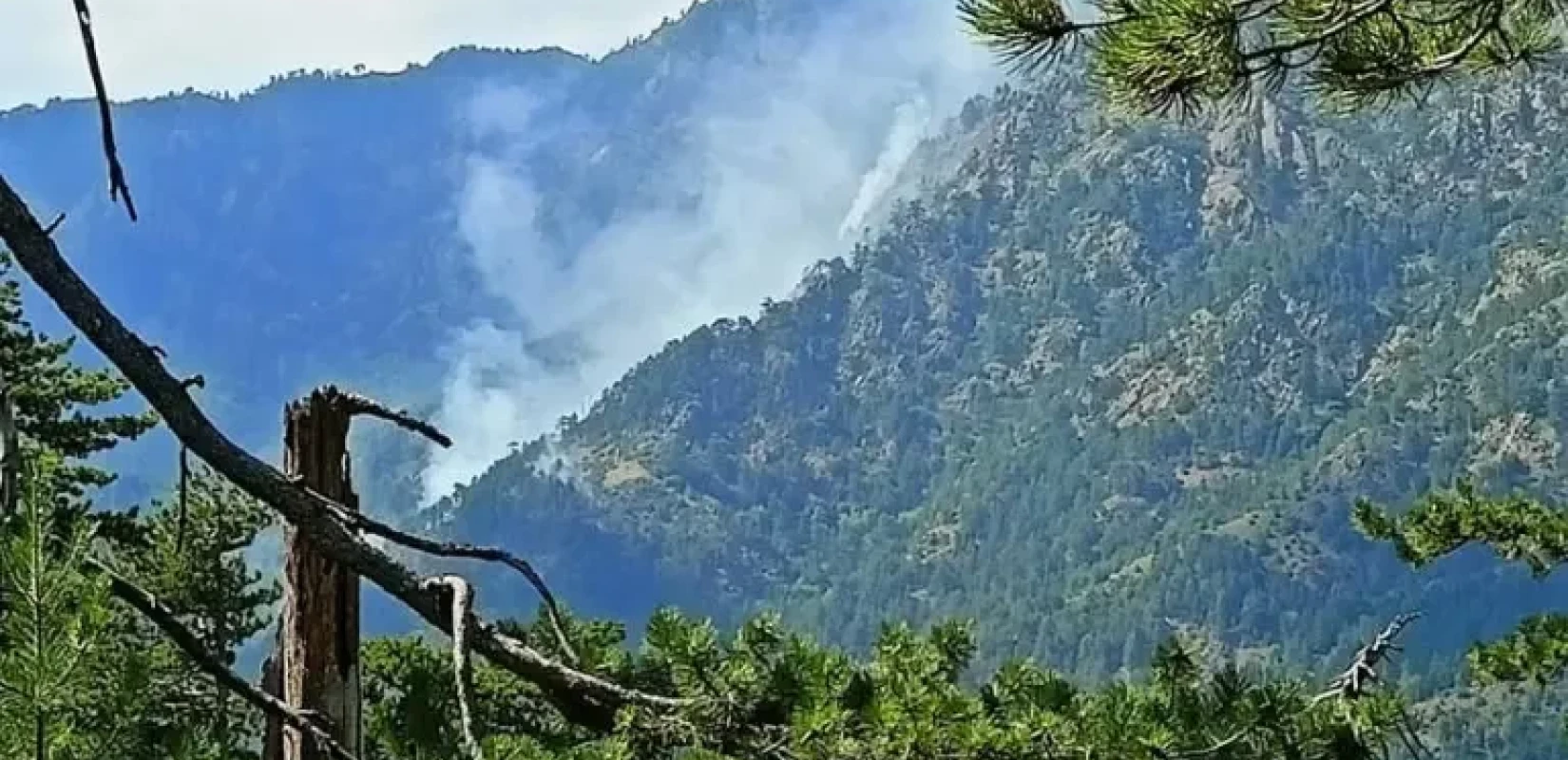 Βάλια Κάλντα: Δώδεκα ημέρες καίει η φωτιά το παρθένο οικοσύστημα του Εθνικού Δρυμού Πίνδου