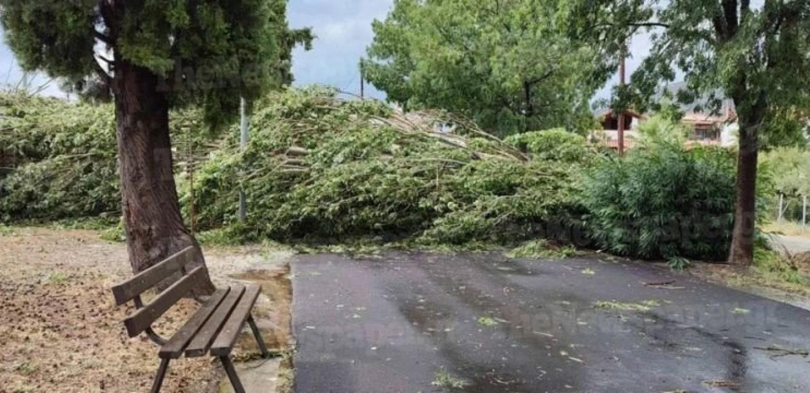 Βελβεντό Κοζάνης: Πτώσεις δέντρων στην εθνική οδό από την κακοκαιρία - Χωρίς ρεύμα η πόλη (βίντεο, φωτ.)