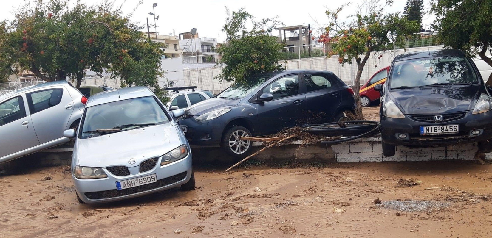 Σητεία: Θρήνος κι απόγνωση στις λάσπες... (φωτογραφίες)