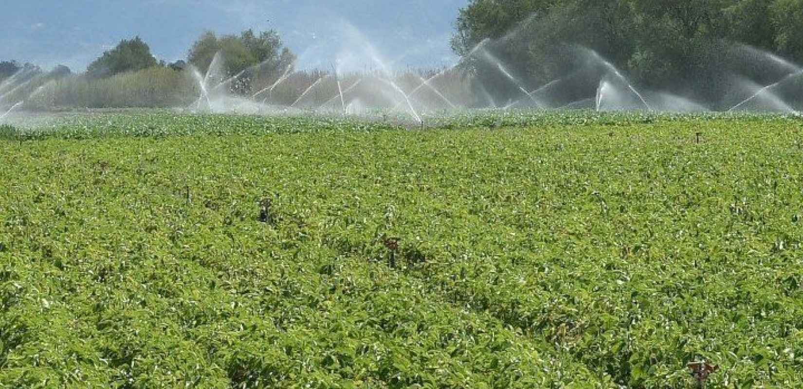 Θεσσαλονίκη - 30η Agrotica: Σχεδόν 15.000 οι νέοι αγρότες που θα εκπαιδευτούν από τον ΕΛΓΟ-Δήμητρα