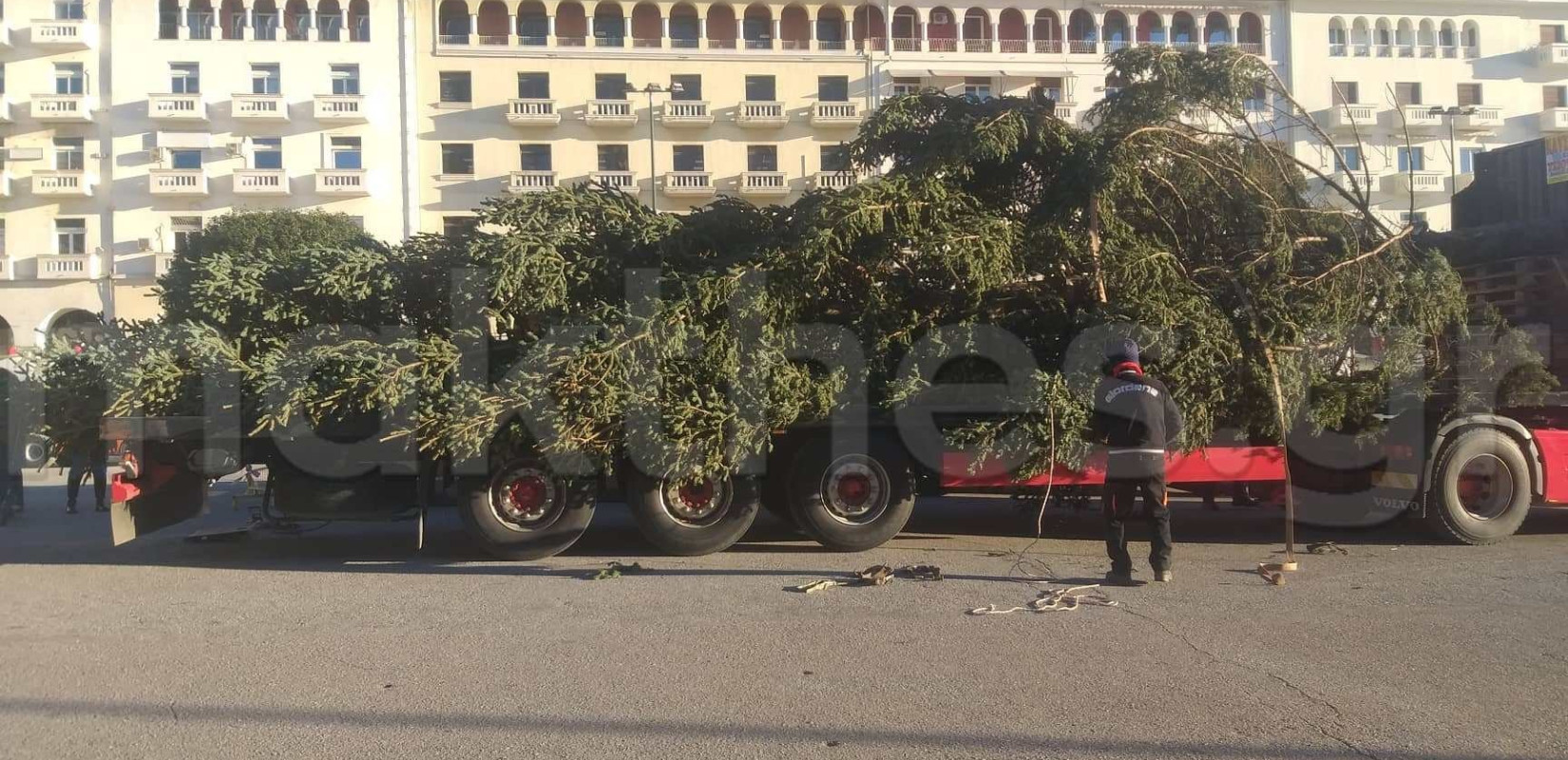 Θεσσαλονίκη: Έτοιμο να... λάμψει το χριστουγεννιάτικο δέντρο στην Αριστοτέλους (φωτ.)